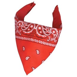 Bandana – Ecco 28 cose che puoi fare con una bandana